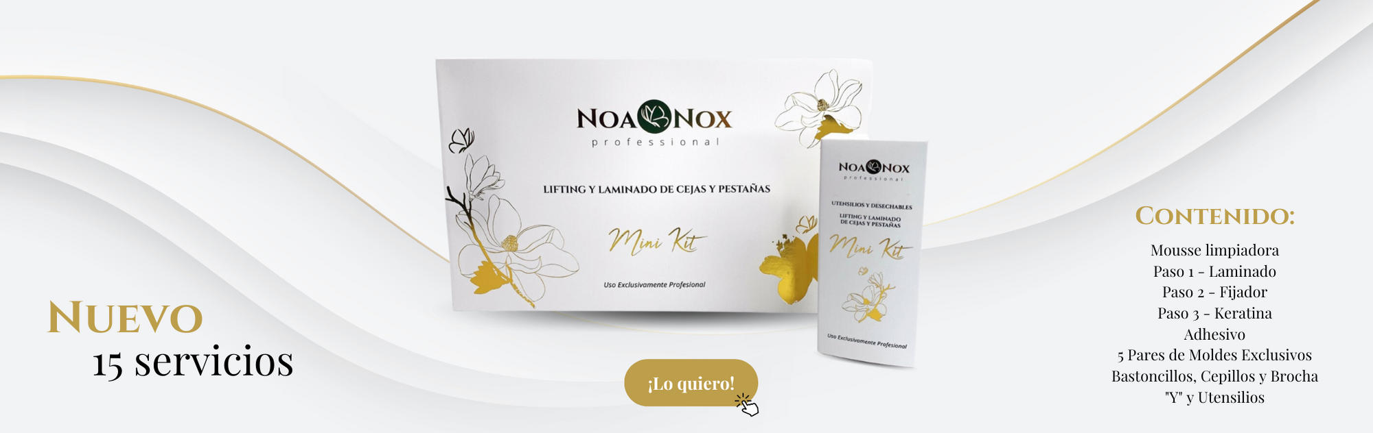 Banner web (19 × 6 in)