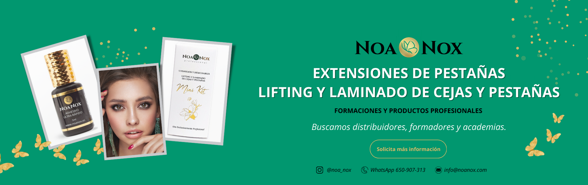 Banner web (19 × 6 in)